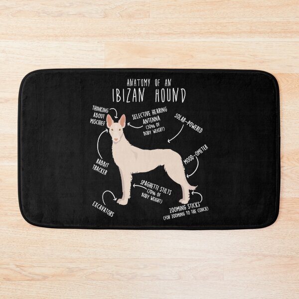 Item preview, White Wire-Haired Ibizan Hound Dog Anatomy designed and sold by Clara Hollins.