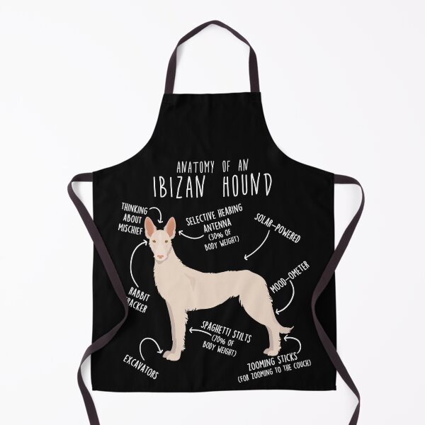 Item preview, White Wire-Haired Ibizan Hound Dog Anatomy designed and sold by Clara Hollins.
