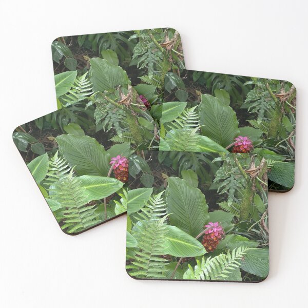Item preview, Tropical Ferns and Hidden Bloom designed and sold by TrisaThyme.