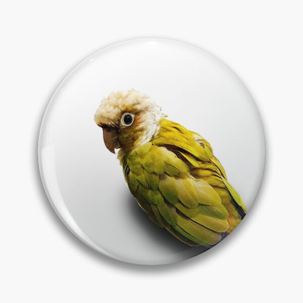 Item preview, Numchoke is not a bird designed and sold by Moment of Mood by Surayos .