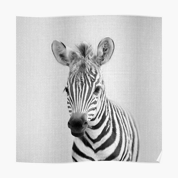 Baby Tiger 2 - Black & White Art Print by Gal Design