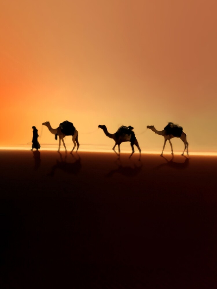 Desert Mirage by valzart