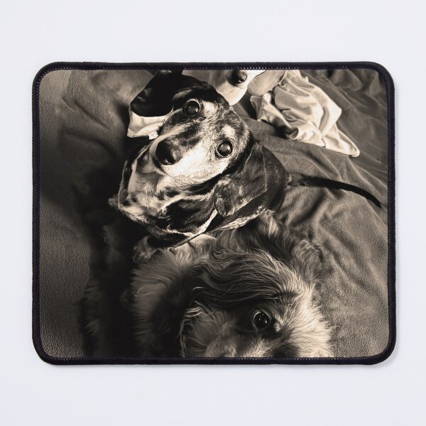 Item preview, Custom dog portrait designed and sold by Nora Gad.