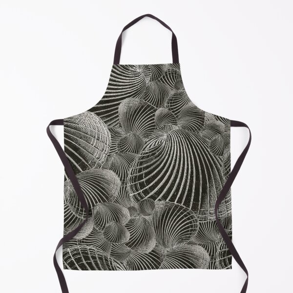Item preview, decorative shells, large shell collection, maritime structure designed and sold by Mauswohn.
