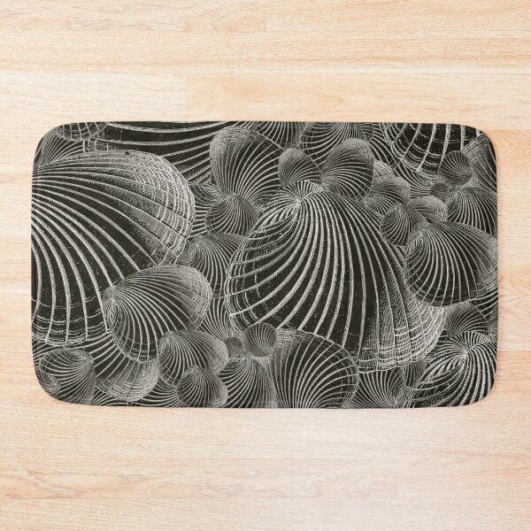 Item preview, decorative shells, large shell collection, maritime structure designed and sold by Mauswohn.