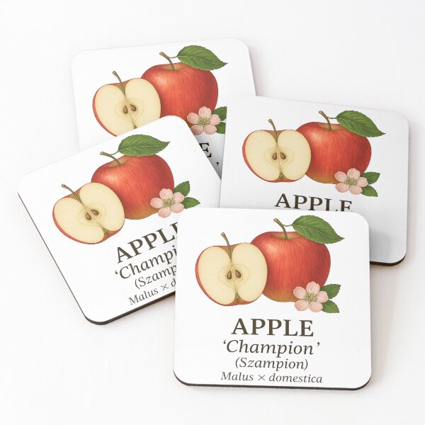 Item preview, Apple ‘Champion’ (Szampion) – Malus domestica designed and sold by BloomKind.