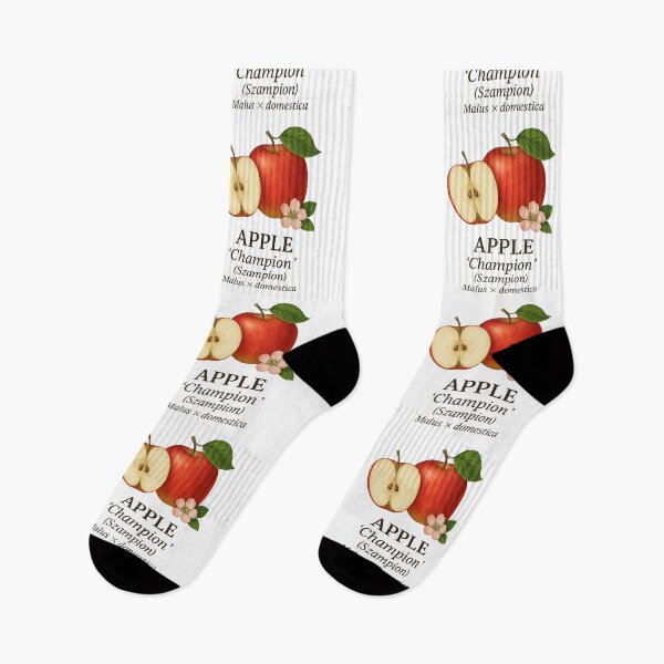Item preview, Apple ‘Champion’ (Szampion) – Malus domestica designed and sold by BloomKind.