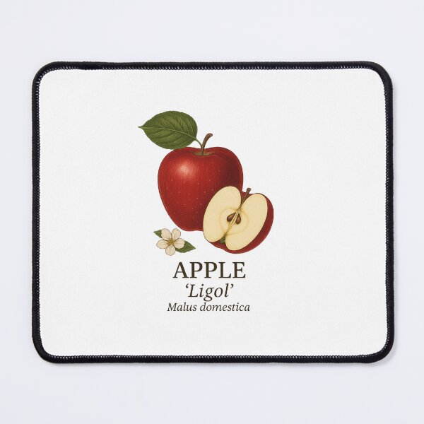 Item preview, Apple ‘Ligol’ – Malus domestica designed and sold by BloomKind.