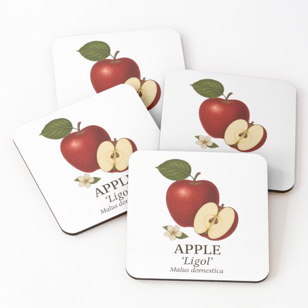 Item preview, Apple ‘Ligol’ – Malus domestica designed and sold by BloomKind.