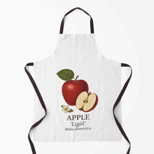 Item preview, Apple ‘Ligol’ – Malus domestica designed and sold by BloomKind.
