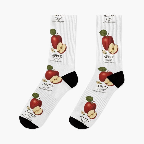 Item preview, Apple ‘Ligol’ – Malus domestica designed and sold by BloomKind.