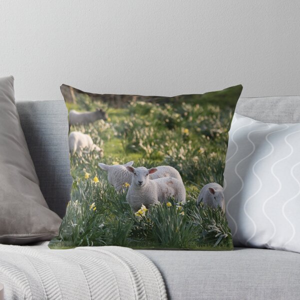 Item preview, Spring Lambs #1 designed and sold by ccullen222.