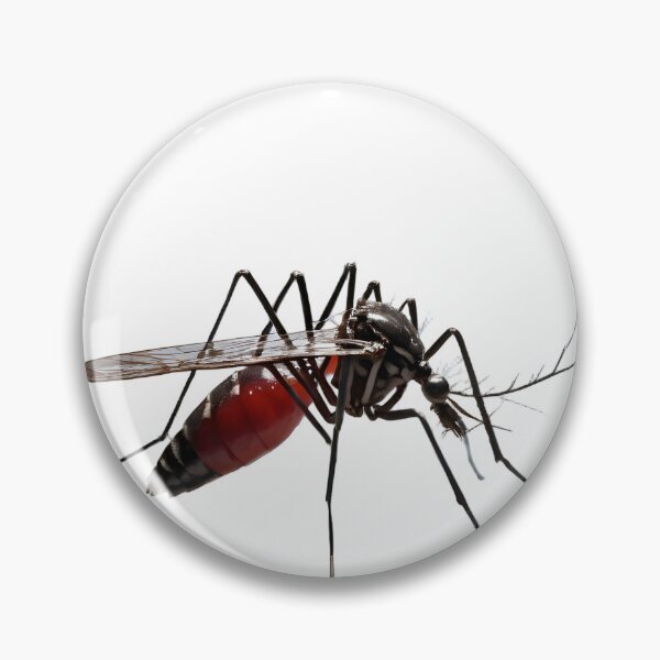 Item preview, Aedes Aegypti - The Dengue and Zika Vector Mosquito, Fully Blood-Fed designed and sold by Maldives-Art.