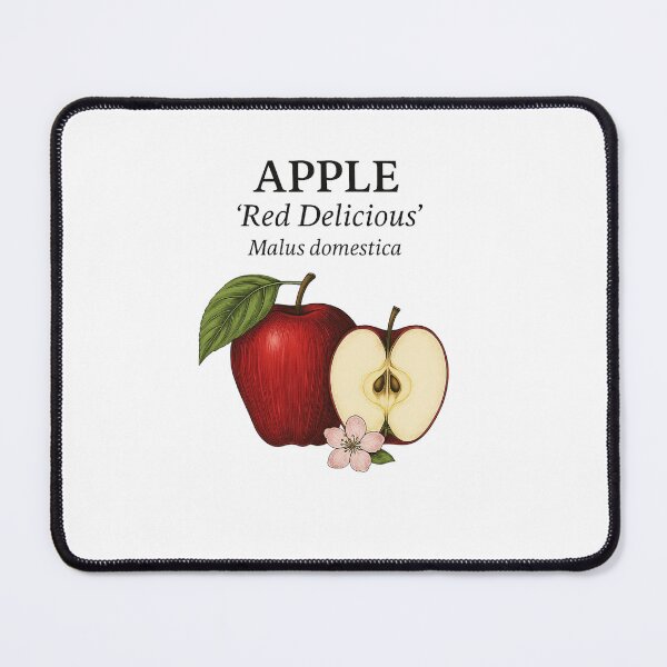 Item preview, Apple ‘Red Delicious’ – Malus domestica designed and sold by BloomKind.