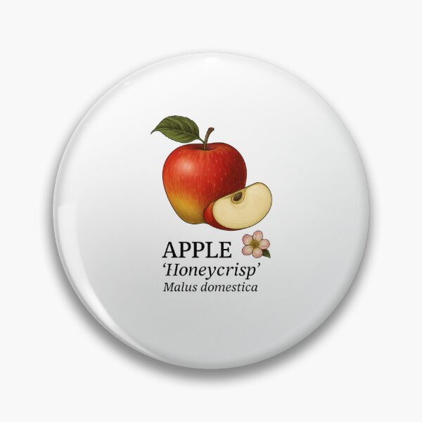 Item preview, Apple ‘Honeycrisp’ – Malus domestica designed and sold by BloomKind.