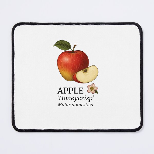 Item preview, Apple ‘Honeycrisp’ – Malus domestica designed and sold by BloomKind.