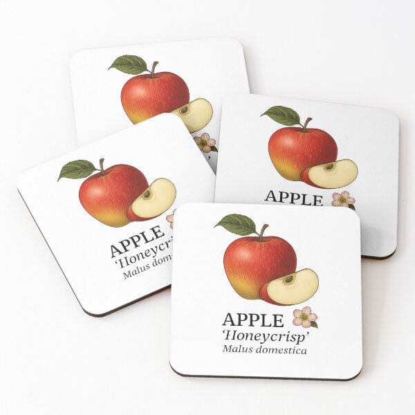 Item preview, Apple ‘Honeycrisp’ – Malus domestica designed and sold by BloomKind.