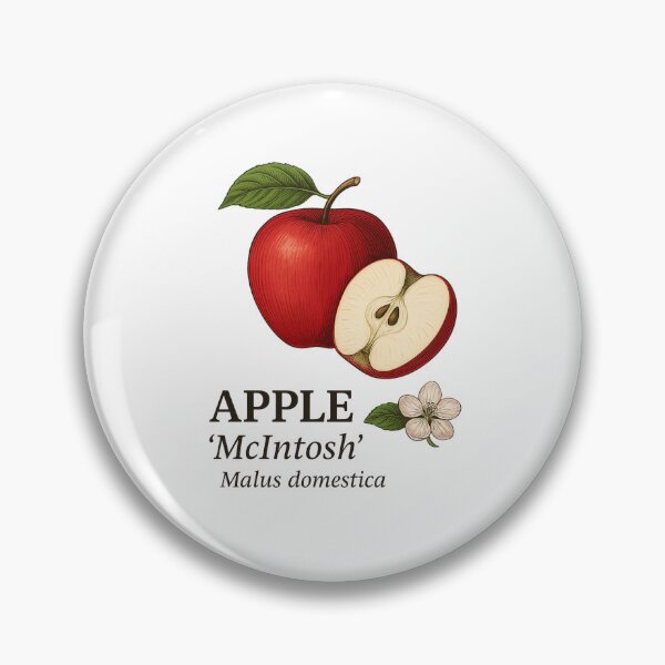Item preview, Apple ‘McIntosh’ – Malus domestica designed and sold by BloomKind.