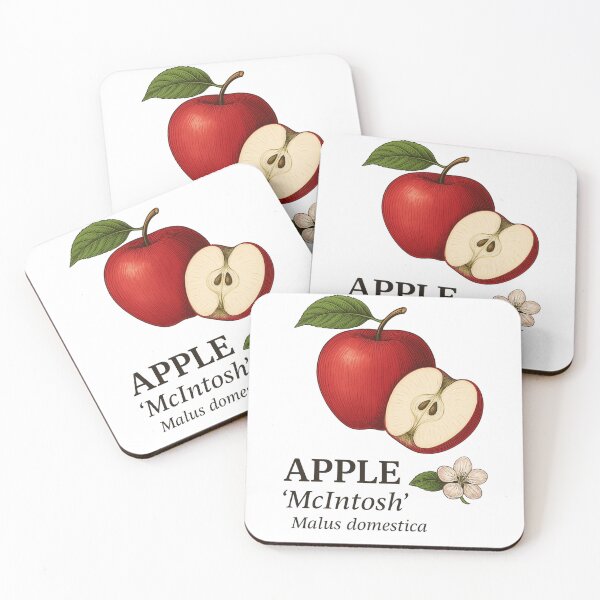 Item preview, Apple ‘McIntosh’ – Malus domestica designed and sold by BloomKind.
