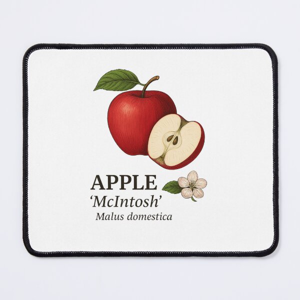 Item preview, Apple ‘McIntosh’ – Malus domestica designed and sold by BloomKind.