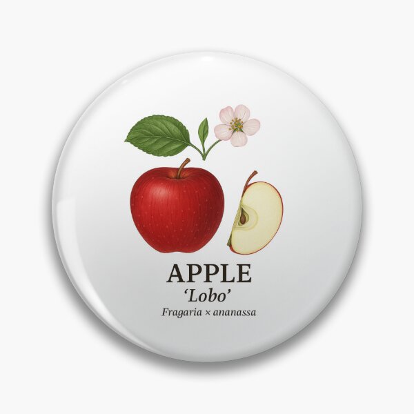 Item preview, Apple ‘Lobo’ – Malus domestica designed and sold by BloomKind.