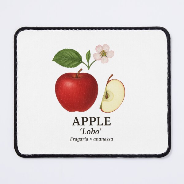 Item preview, Apple ‘Lobo’ – Malus domestica designed and sold by BloomKind.