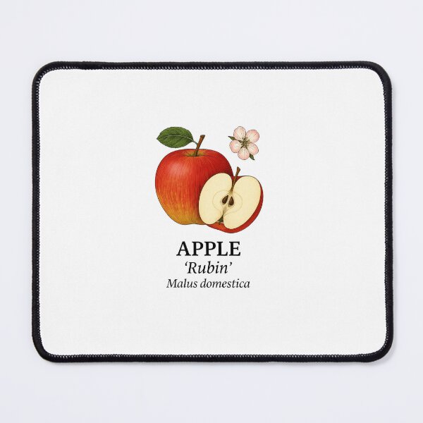 Item preview, Apple ‘Rubin’ – Malus domestica designed and sold by BloomKind.