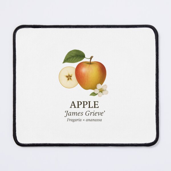 Item preview, Apple ‘James Grieve’ – Malus domestica designed and sold by BloomKind.