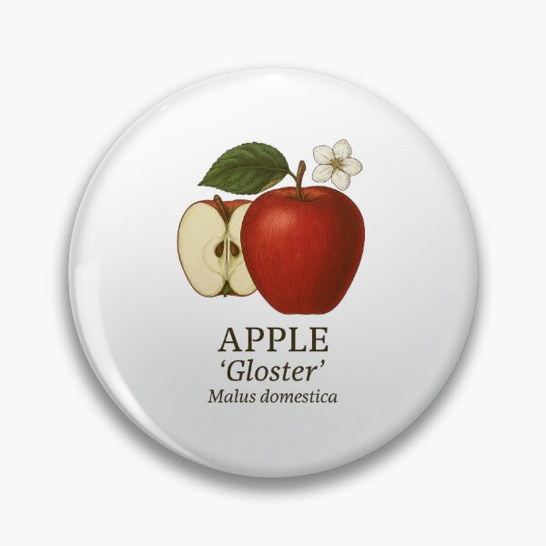 Item preview, Apple ‘Gloster’ – Malus domestica designed and sold by BloomKind.