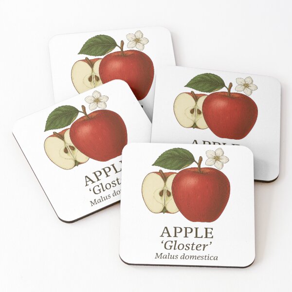 Item preview, Apple ‘Gloster’ – Malus domestica designed and sold by BloomKind.
