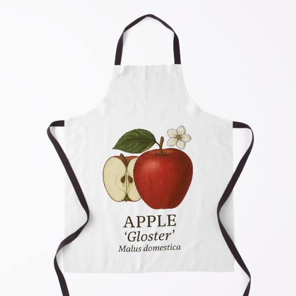 Item preview, Apple ‘Gloster’ – Malus domestica designed and sold by BloomKind.