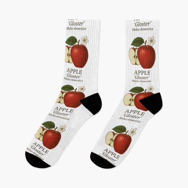 Item preview, Apple ‘Gloster’ – Malus domestica designed and sold by BloomKind.