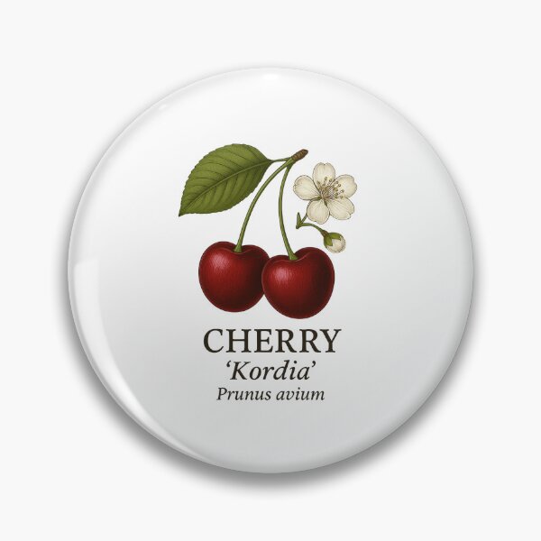 Item preview, Cherry ‘Kordia’ – Prunus avium designed and sold by BloomKind.