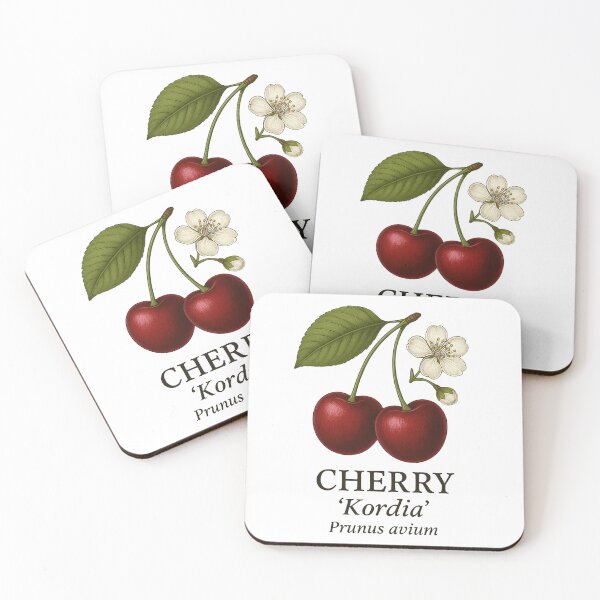Item preview, Cherry ‘Kordia’ – Prunus avium designed and sold by BloomKind.