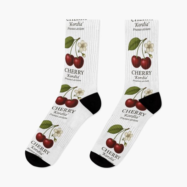 Item preview, Cherry ‘Kordia’ – Prunus avium designed and sold by BloomKind.