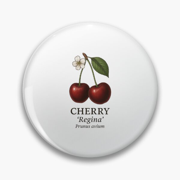 Item preview, Cherry ‘Regina’ – Prunus avium designed and sold by BloomKind.