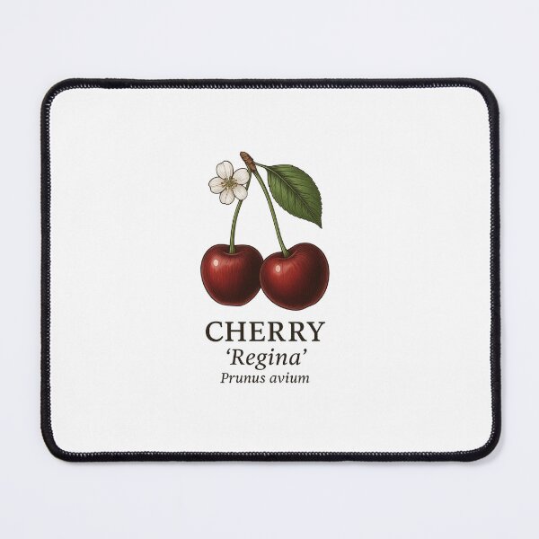 Item preview, Cherry ‘Regina’ – Prunus avium designed and sold by BloomKind.