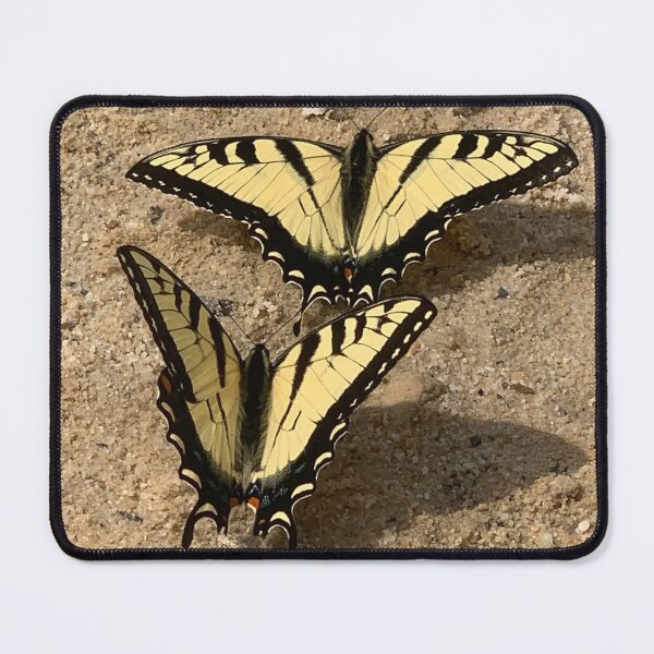 Item preview, Butterflies on the Beach designed and sold by Alexander Krishchyunas.