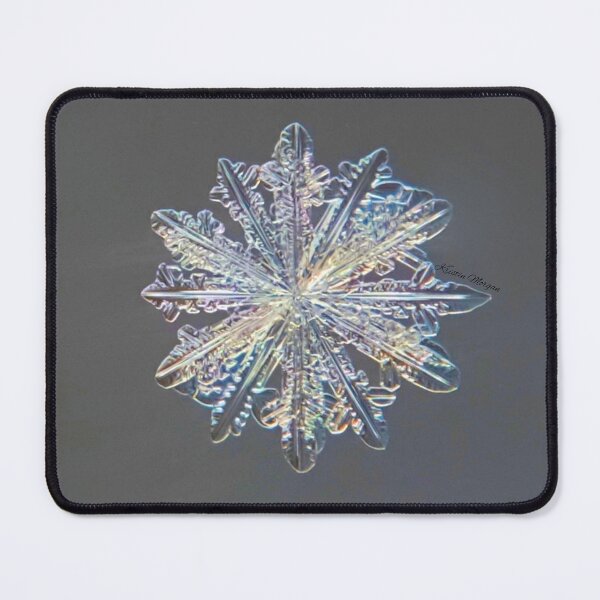 Item preview, Everything is temporary, live colorfully. designed and sold by Kristin Morgan.