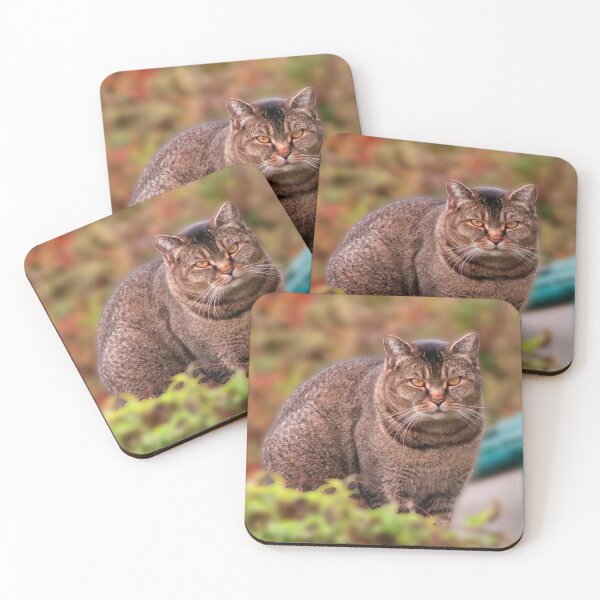 Item preview, Watchful designed and sold by missmoneypenny.
