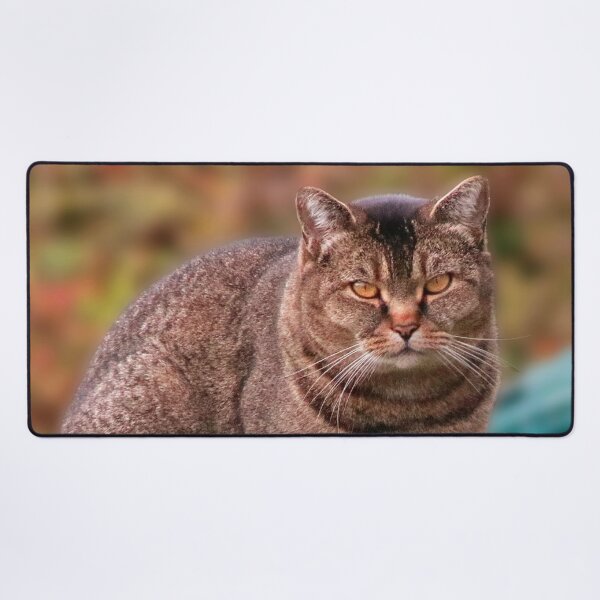 Item preview, Watchful designed and sold by missmoneypenny.