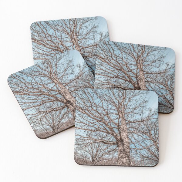 Item preview, Whispers of Winter: Intricate Branches Against a Pale Sky designed and sold by MDB_Shop.