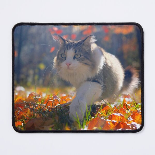 Item preview, Feline Elegance in a Fall Wonderland designed and sold by MB-CatPrints.