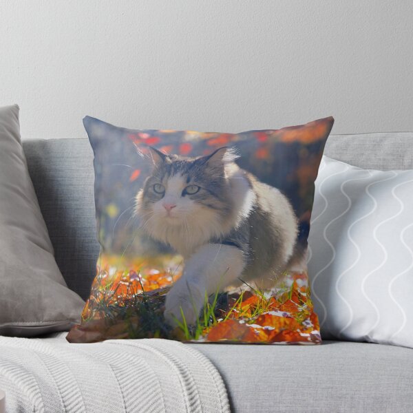 Item preview, Feline Elegance in a Fall Wonderland designed and sold by MB-CatPrints.