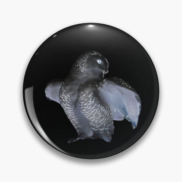 Item preview, Black Owl – Mysterious Presence / Swiss Artwork Photography designed and sold by Raphael Wolf.