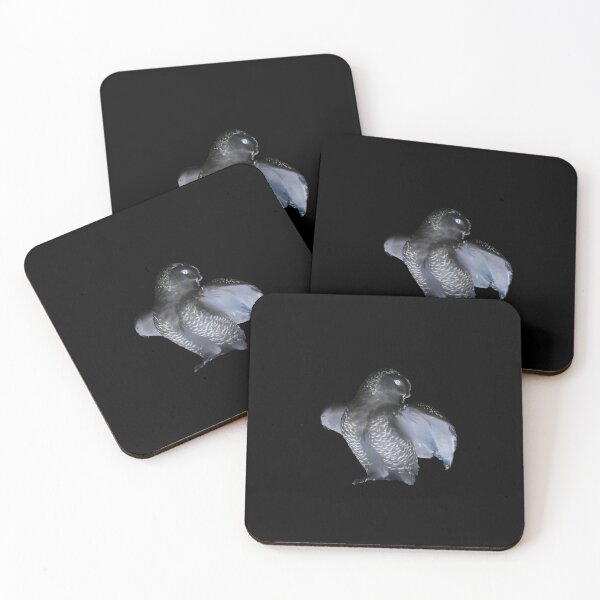 Item preview, Black Owl – Mysterious Presence / Swiss Artwork Photography designed and sold by Raphael Wolf.