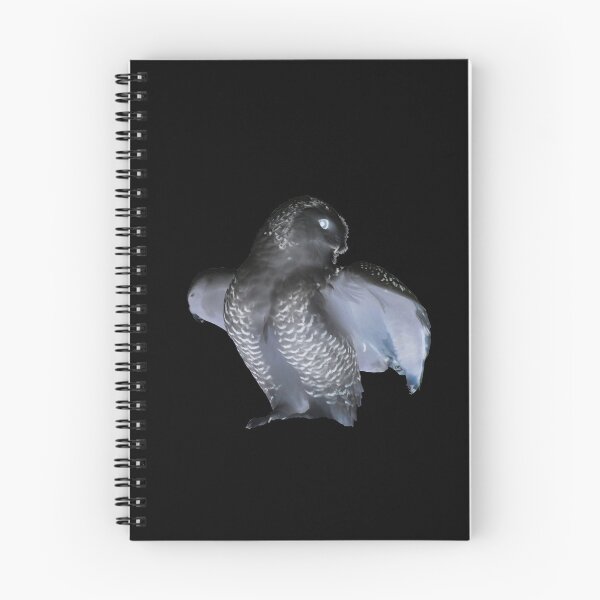 Item preview, Black Owl – Mysterious Presence / Swiss Artwork Photography designed and sold by Raphael Wolf.
