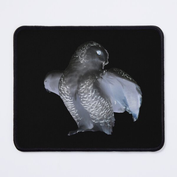 Item preview, Black Owl – Mysterious Presence / Swiss Artwork Photography designed and sold by Raphael Wolf.