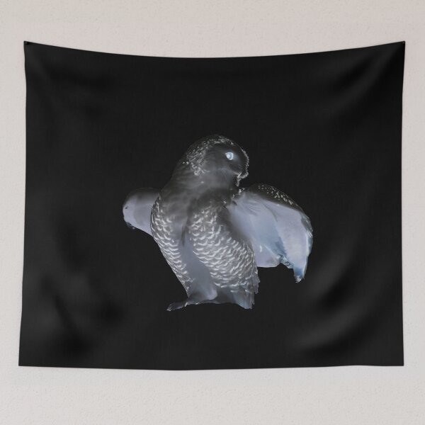 Item preview, Black Owl – Mysterious Presence / Swiss Artwork Photography designed and sold by Raphael Wolf.