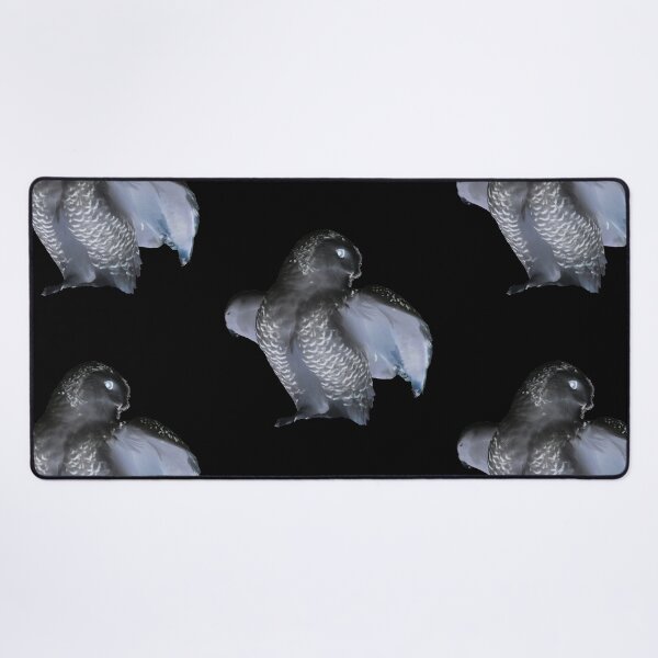 Item preview, Black Owl – Mysterious Presence / Swiss Artwork Photography designed and sold by Raphael Wolf.